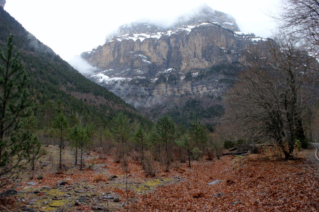 Ordesa
